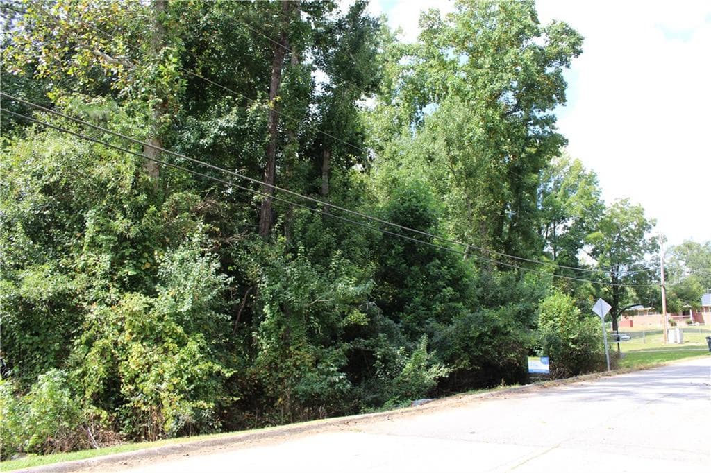 unimproved land for sale at 218 Ella Drive, Griffin, GA 30223 — photo 3