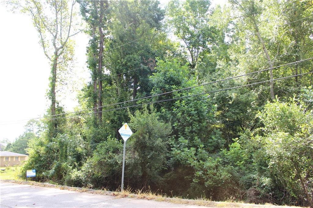 unimproved land for sale at 218 Ella Drive, Griffin, GA 30223 — photo 4