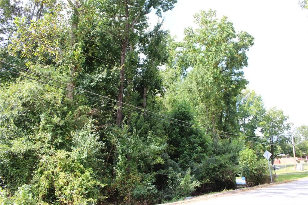 unimproved land for sale at 218 Ella Drive, Griffin, GA 30223 — photo 5
