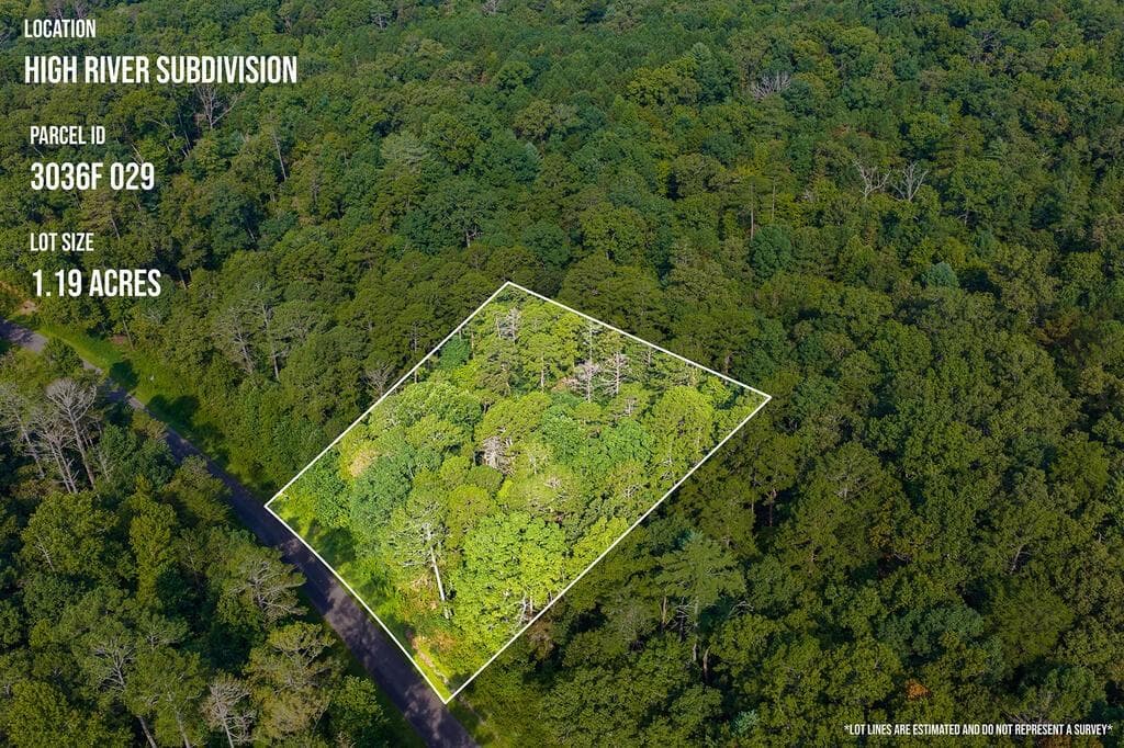 other for sale at 186 Pinnacle Drive, Ellijay, GA 30540