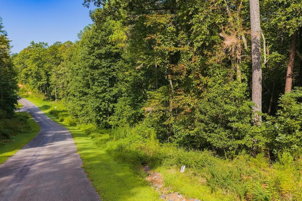 other for sale at 186 Pinnacle Drive, Ellijay, GA 30540 — photo 3