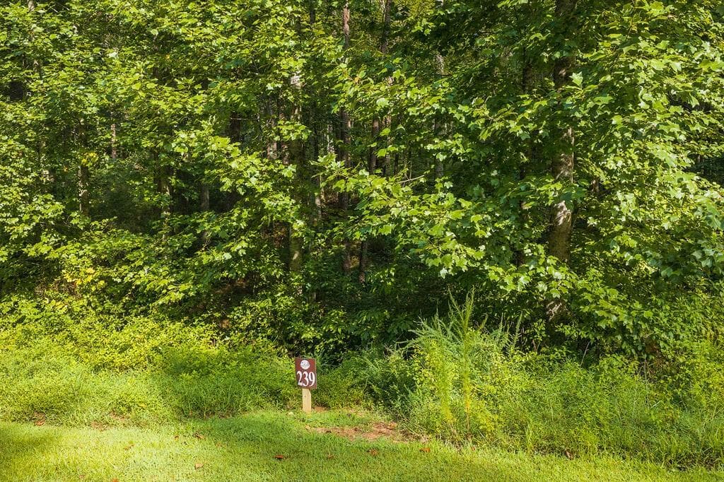 other for sale at 186 Pinnacle Drive, Ellijay, GA 30540 — photo 6