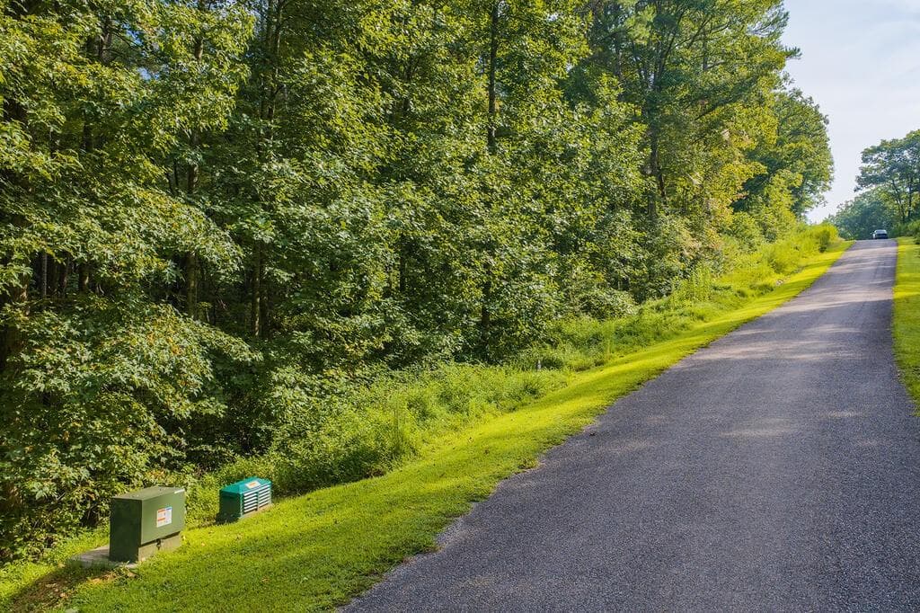 other for sale at 186 Pinnacle Drive, Ellijay, GA 30540 — photo 7
