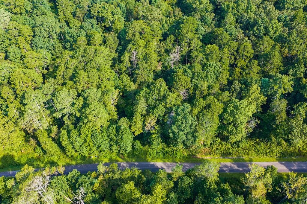 other for sale at 186 Pinnacle Drive, Ellijay, GA 30540 — photo 9