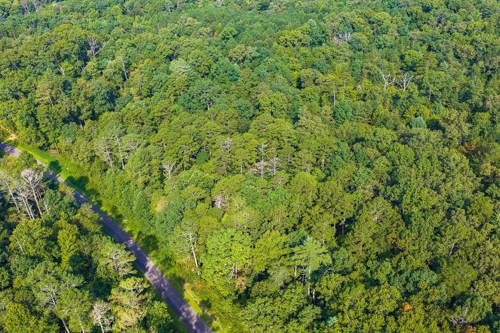 other for sale at 186 Pinnacle Drive, Ellijay, GA 30540 — photo 10