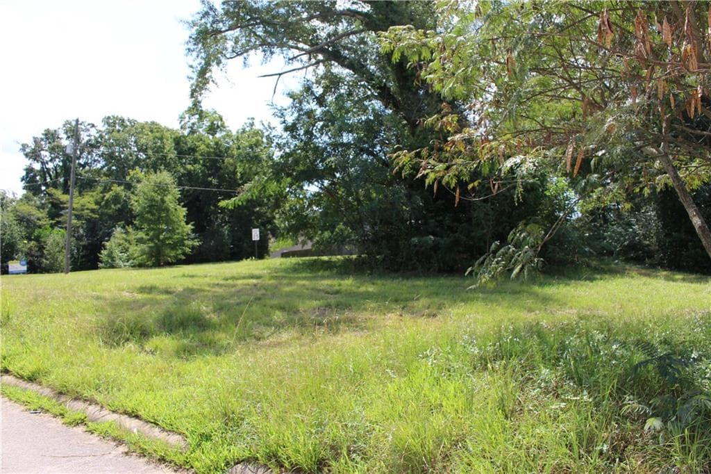 unimproved land for sale at 451 Jefferson Street, Griffin, GA 30223 — photo 5