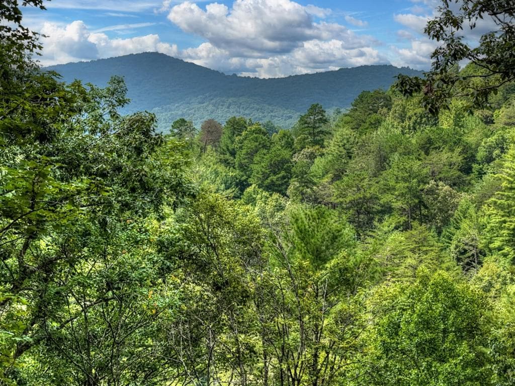3 bedroom, 4 bathroom, 3,188 sq ft single family residence for sale at 1821 Stanley Creek Road, Cherry Log, GA 30522 — photo 3