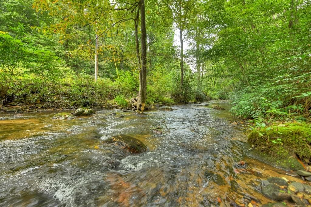 3 bedroom, 4 bathroom, 3,188 sq ft single family residence for sale at 1821 Stanley Creek Road, Cherry Log, GA 30522 — photo 4