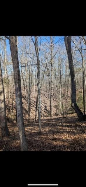 unimproved land for sale at 3216 Boulder Brook Drive, Lithonia, GA 30038 — photo 1 of 3