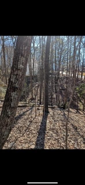 unimproved land for sale at 3216 Boulder Brook Drive, Lithonia, GA 30038 — photo 2