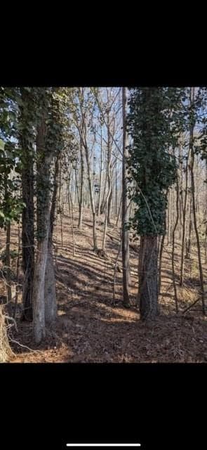 unimproved land for sale at 3216 Boulder Brook Drive, Lithonia, GA 30038 — photo 3