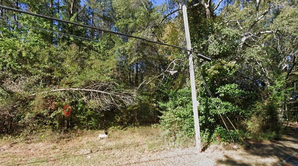 other for sale at 0 Stonewall Tell Road, Union City, GA 30349 — photo 6