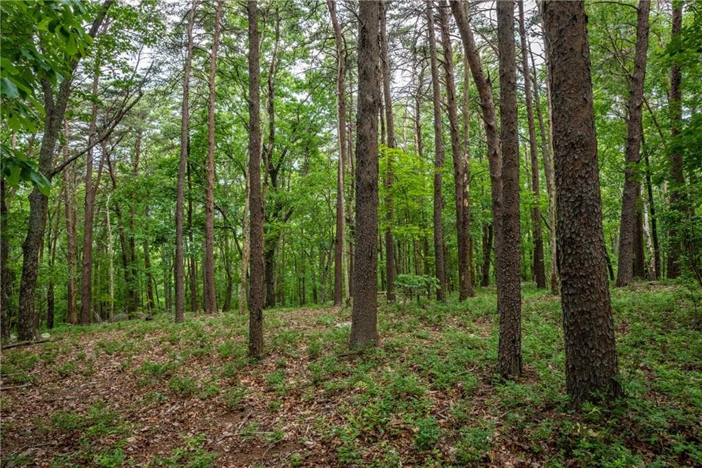 single family residence for sale at 206R Mystic Trail Lane, Jasper, GA 30143