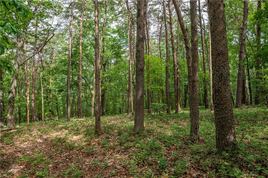 single family residence for sale at 206R Mystic Trail Lane, Jasper, GA 30143 — photo 3