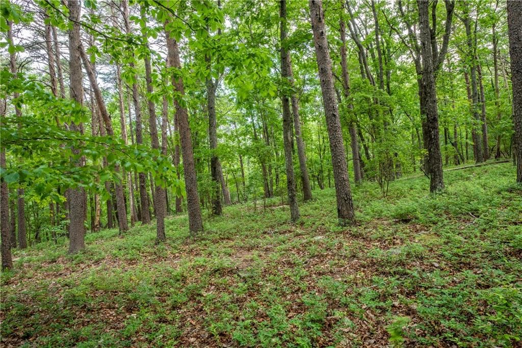 single family residence for sale at 206R Mystic Trail Lane, Jasper, GA 30143 — photo 5