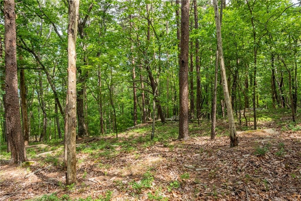 single family residence for sale at 206R Mystic Trail Lane, Jasper, GA 30143 — photo 8