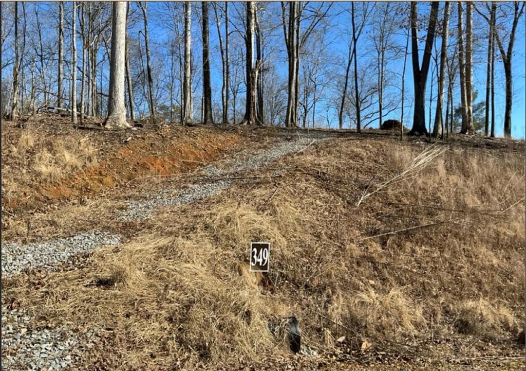 unimproved land for sale at LT 349 reel rd, Talking Rock, GA 30175 — photo 1 of 2