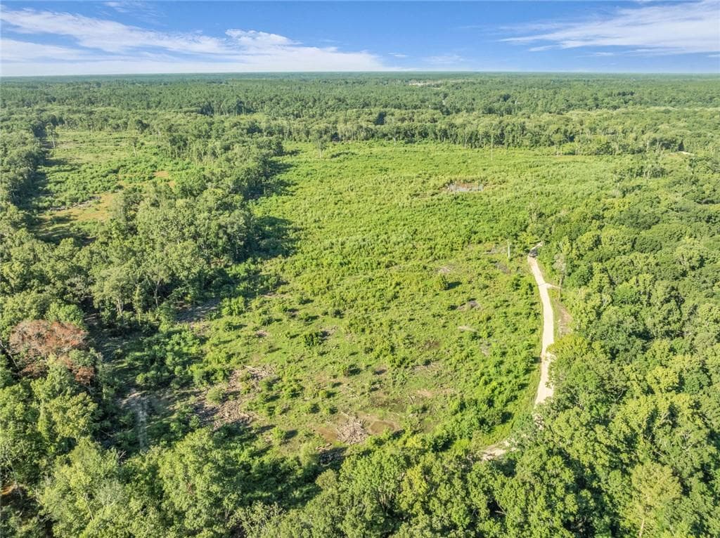 unimproved land for sale at 0 Brook Rd, Jesup, GA 31545 — photo 1 of 25