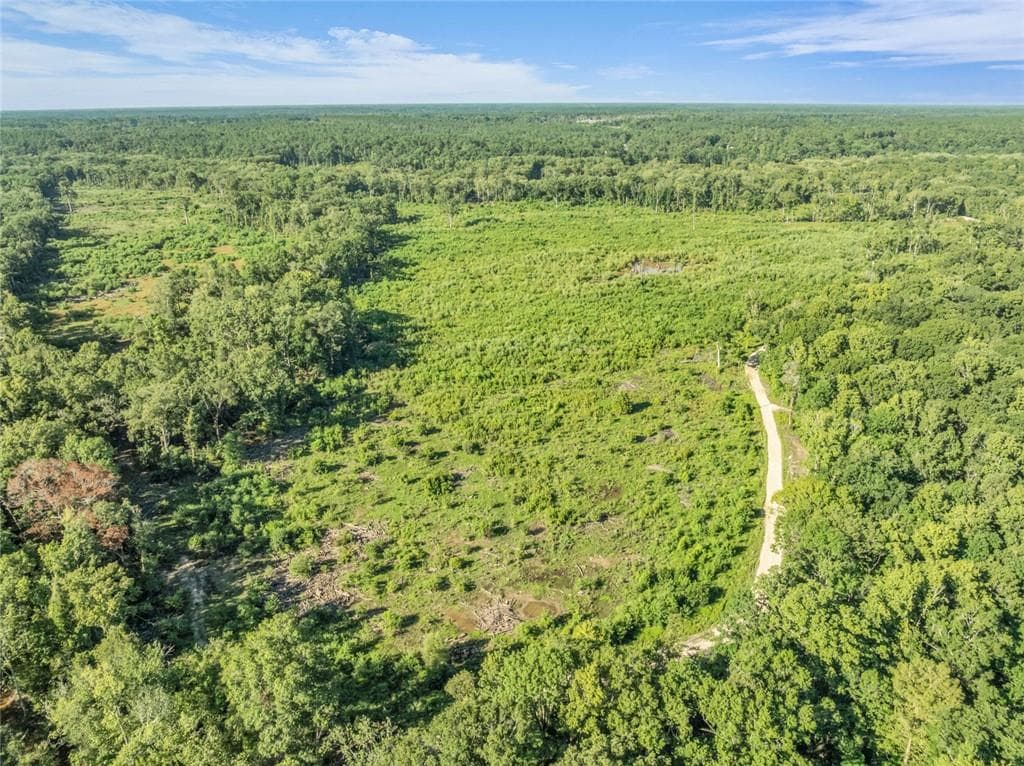unimproved land for sale at 0 Brook Rd, Jesup, GA 31545 — photo 2