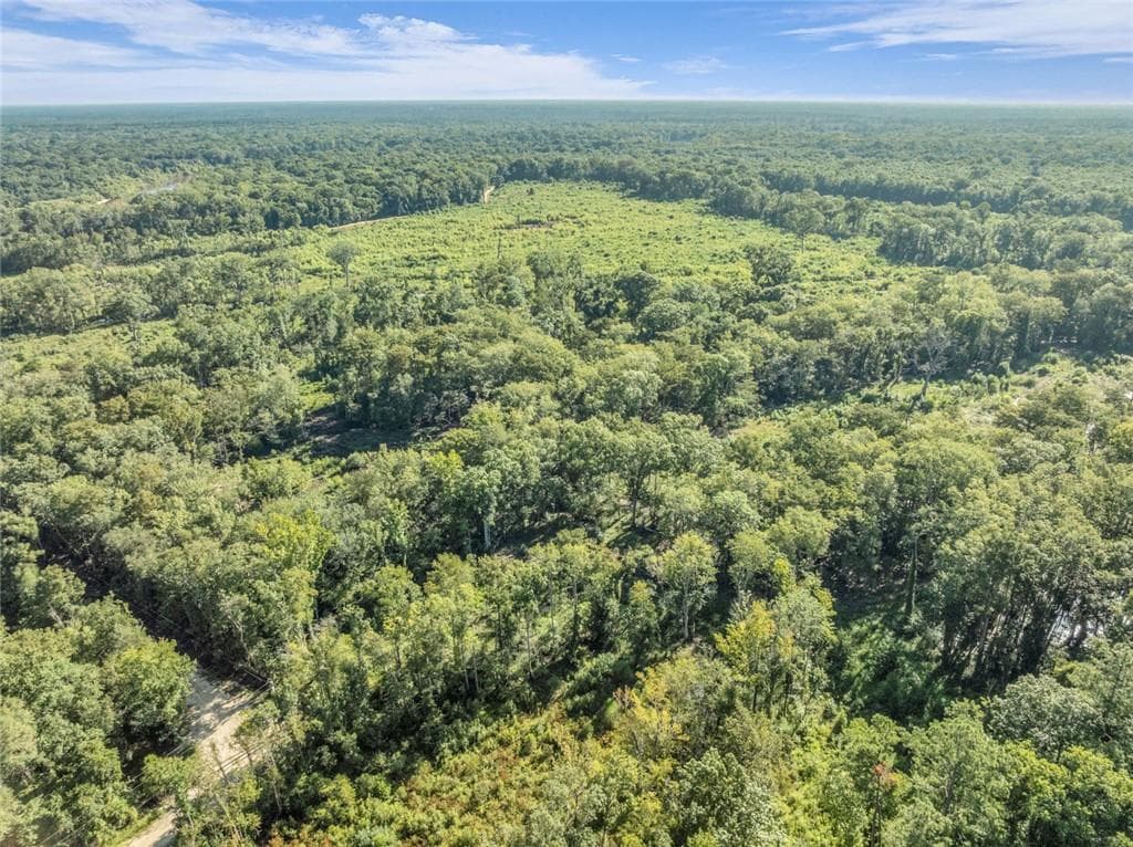 unimproved land for sale at 0 Brook Rd, Jesup, GA 31545 — photo 3