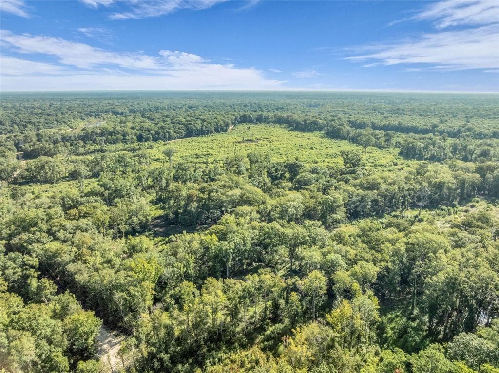 unimproved land for sale at 0 Brook Rd, Jesup, GA 31545 — photo 4