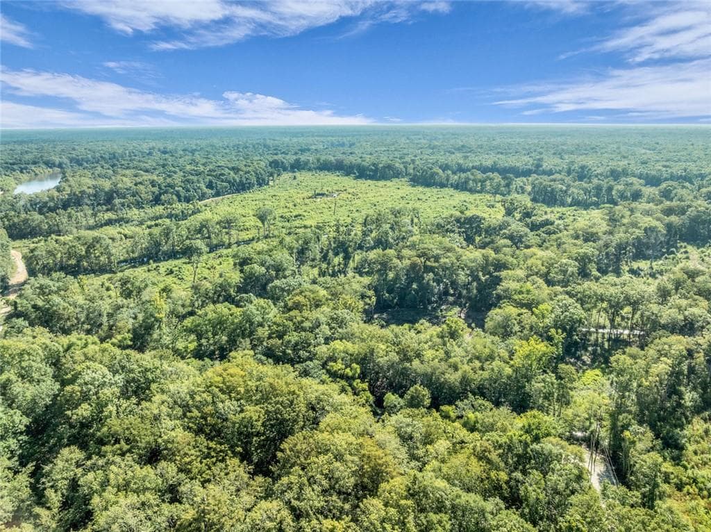 unimproved land for sale at 0 Brook Rd, Jesup, GA 31545 — photo 5