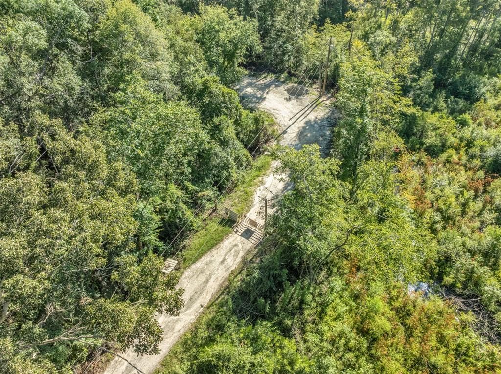 unimproved land for sale at 0 Brook Rd, Jesup, GA 31545 — photo 6