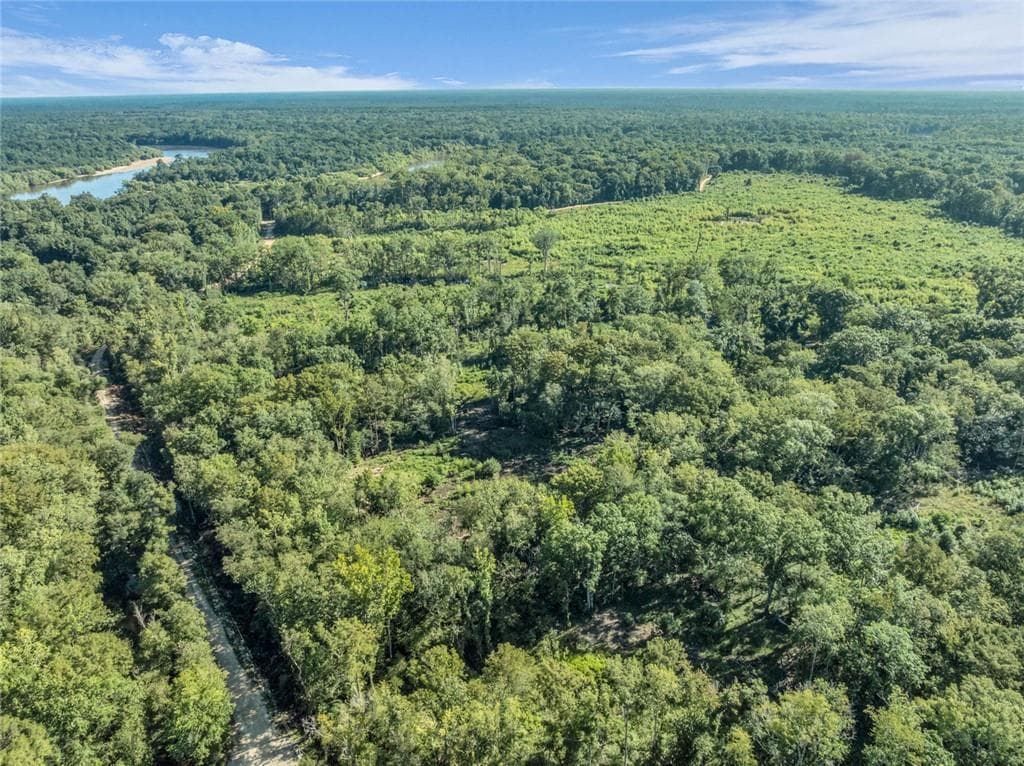 unimproved land for sale at 0 Brook Rd, Jesup, GA 31545 — photo 7