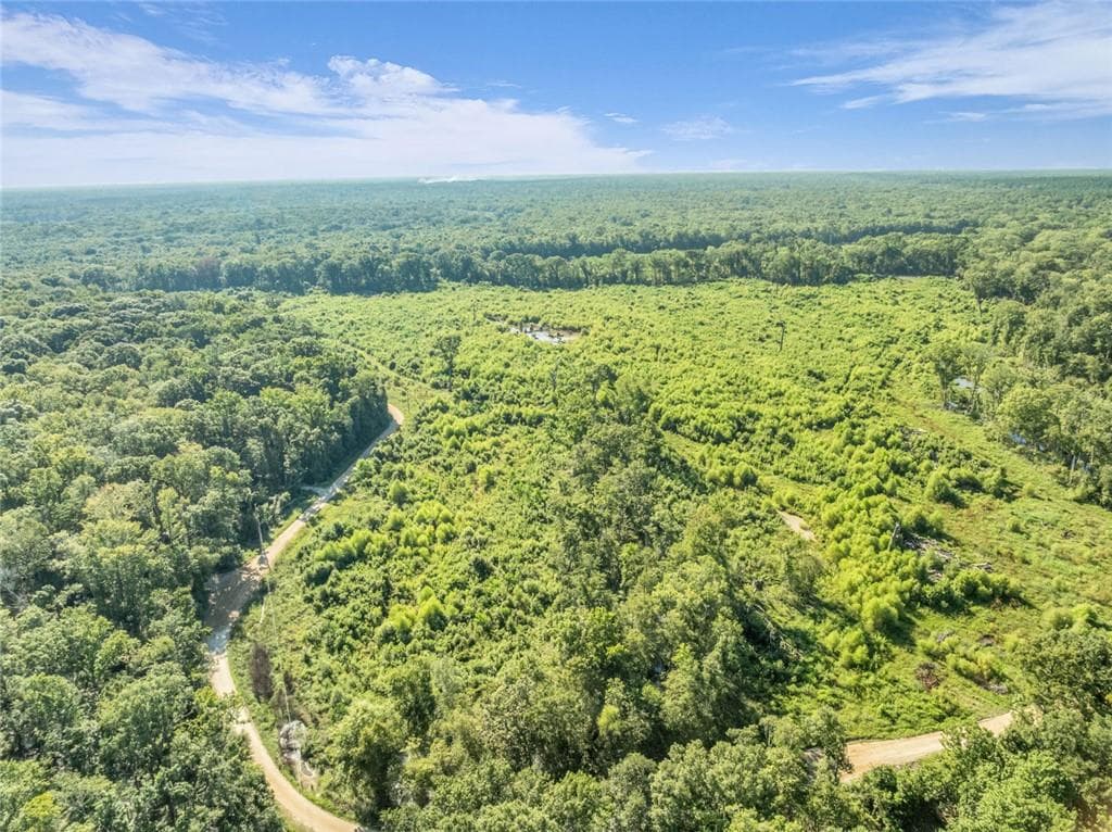 unimproved land for sale at 0 Brook Rd, Jesup, GA 31545 — photo 9