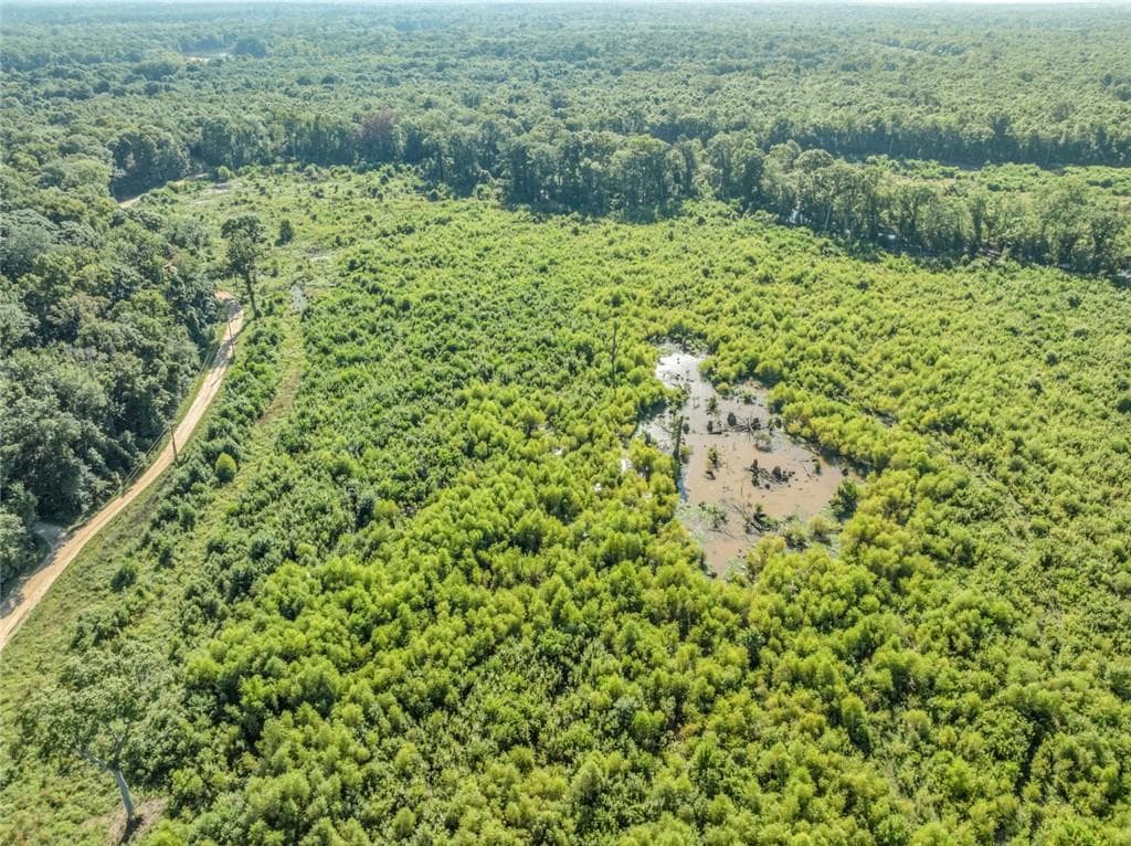 unimproved land for sale at 0 Brook Rd, Jesup, GA 31545 — photo 10