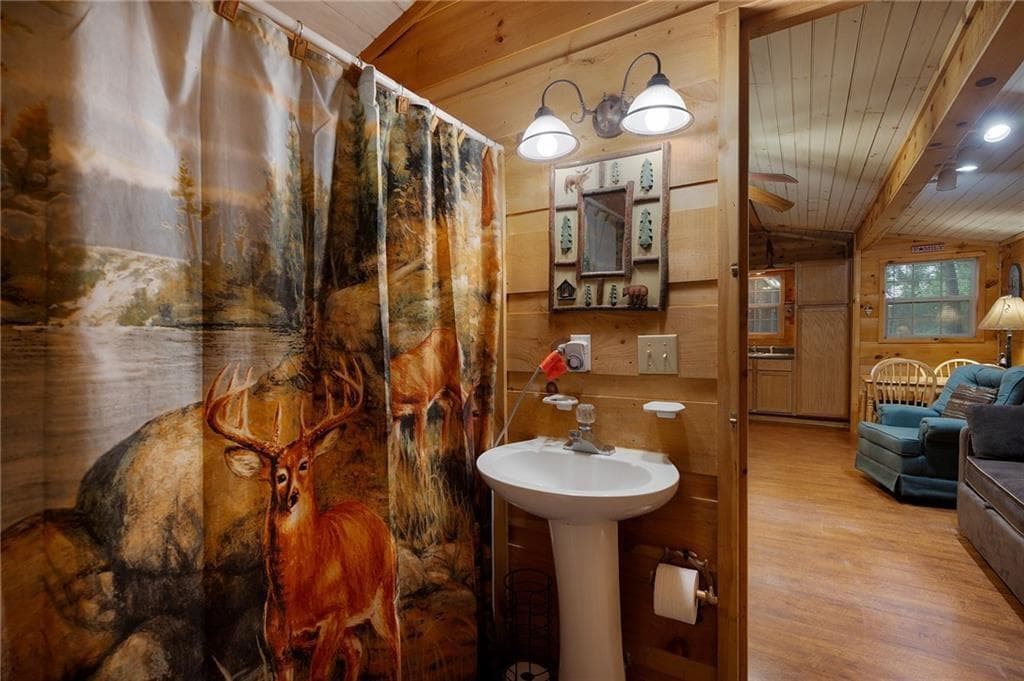 1 bedroom, 1 bathroom, 408 sq ft single family residence for sale at 152 33rd Street, Ellijay, GA 30540 — photo 10