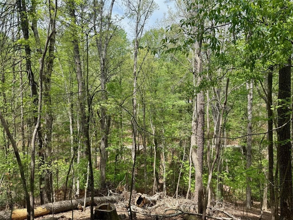 2 bedroom, 1 bathroom single family residence for sale at 142 33rd Street, Ellijay, GA 30540 — photo 6