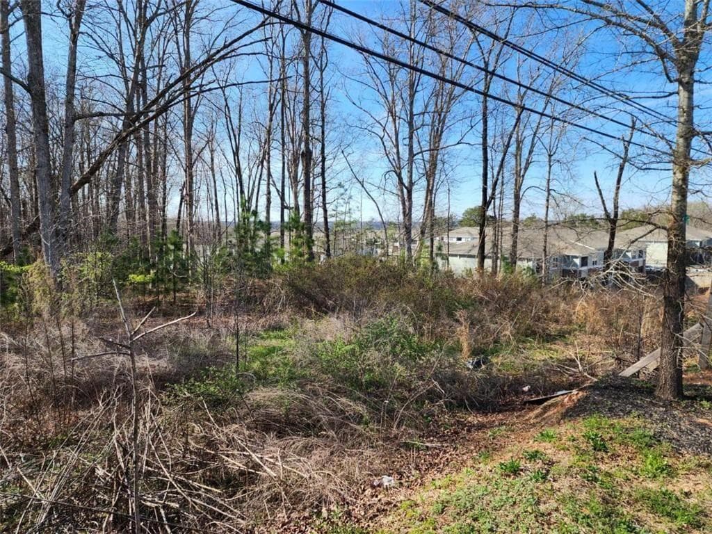 unimproved land for sale at 0 Highway 92, Douglasville, GA 30134 — photo 4