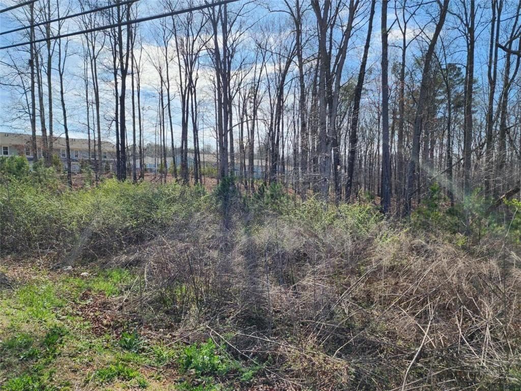 unimproved land for sale at 0 Highway 92, Douglasville, GA 30134 — photo 5