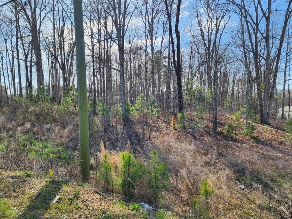 unimproved land for sale at 0 Highway 92, Douglasville, GA 30134 — photo 6