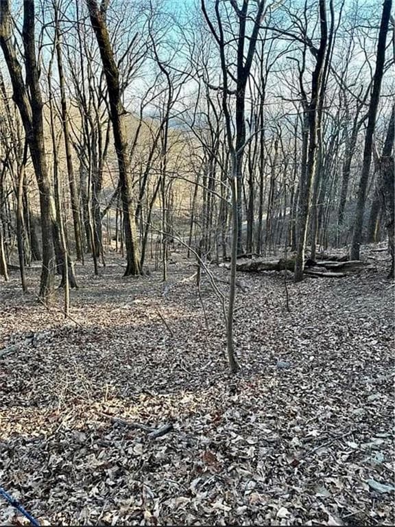 single family residence for sale at 1649 Moss Patch Trail, Jasper, GA 30143 — photo 3