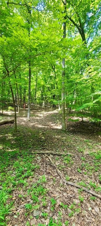 single family residence for sale at 1649 Moss Patch Trail, Jasper, GA 30143 — photo 5