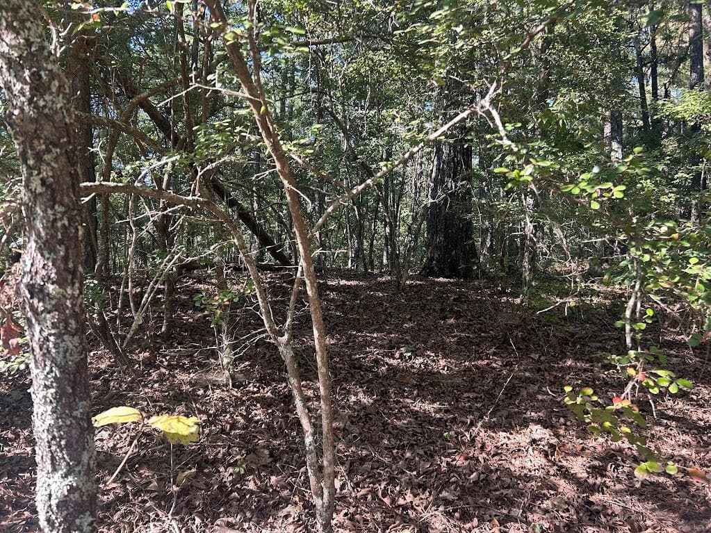 other under contract at 0 Springer Road, Whitesburg, GA 30185