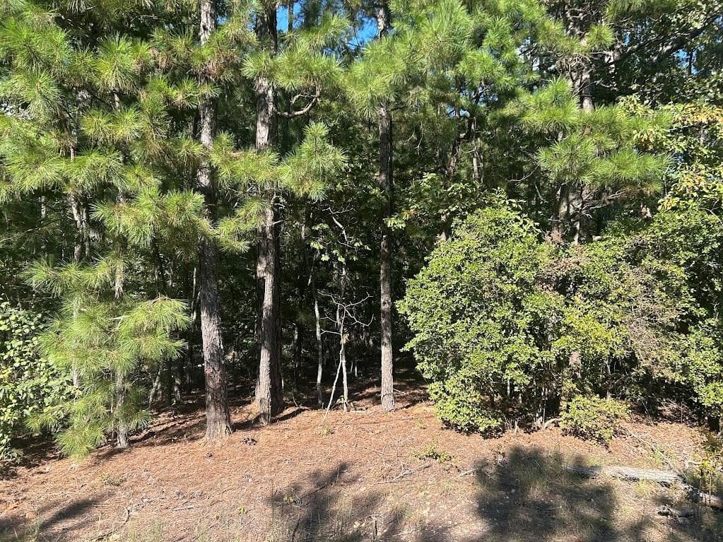 other under contract at 0 Springer Road, Whitesburg, GA 30185 — photo 2