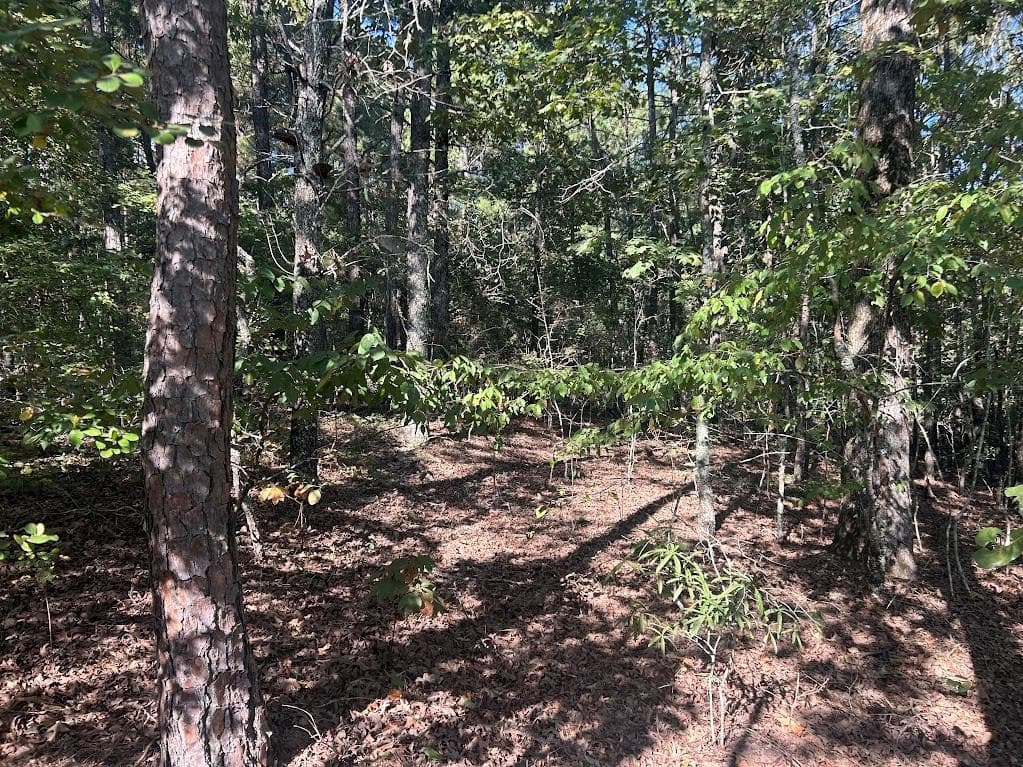 other under contract at 0 Springer Road, Whitesburg, GA 30185 — photo 3