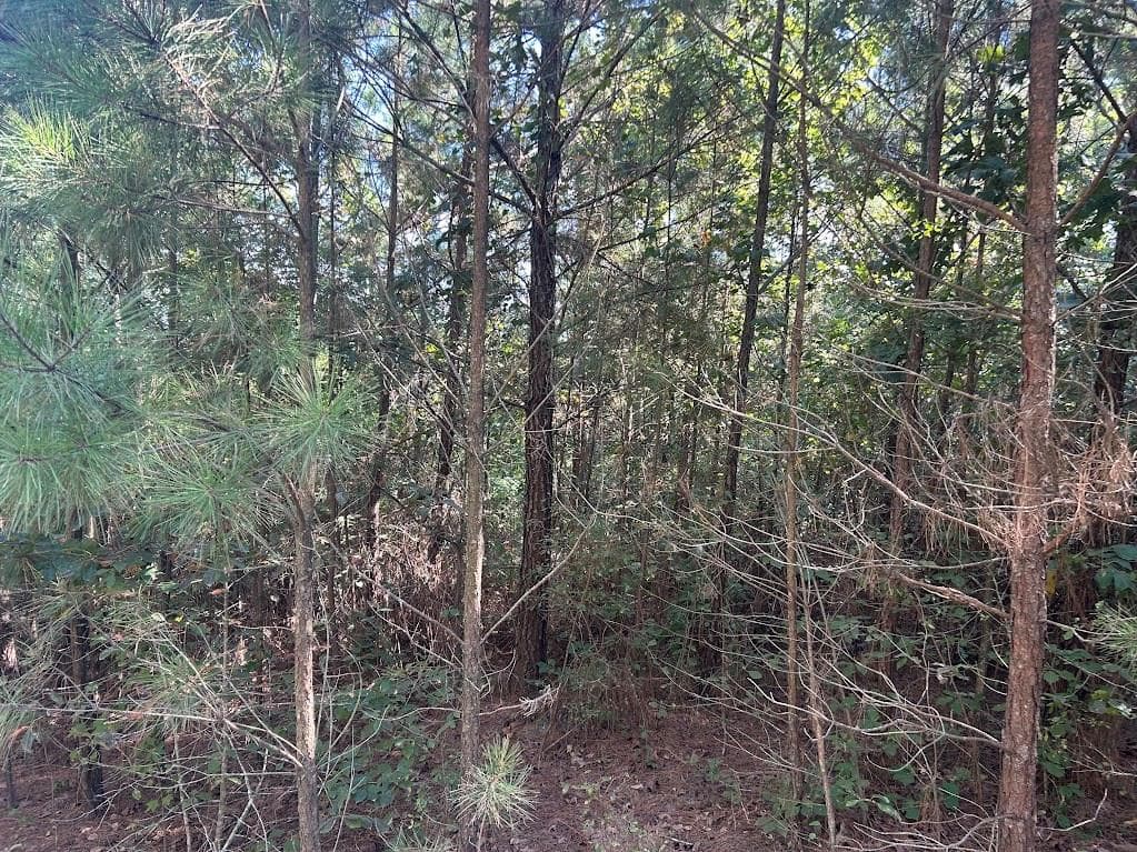 other under contract at 0 Springer Road, Whitesburg, GA 30185 — photo 4