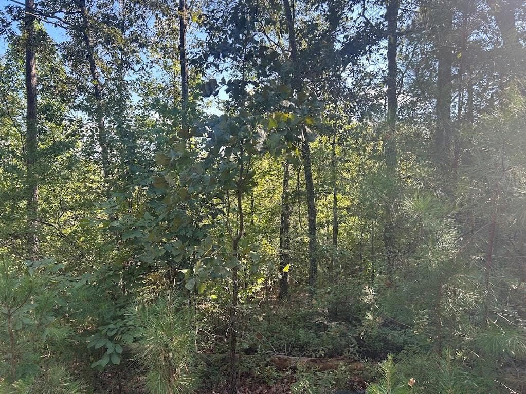 other under contract at 0 Springer Road, Whitesburg, GA 30185 — photo 5