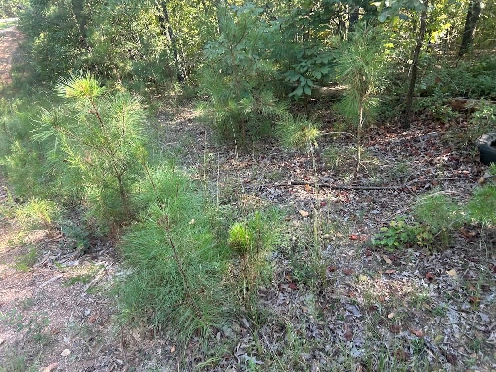 other under contract at 0 Springer Road, Whitesburg, GA 30185 — photo 6