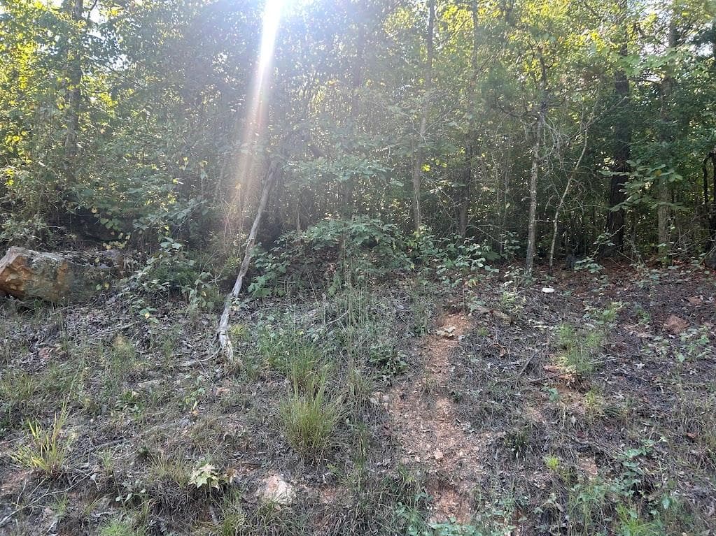 other under contract at 0 Springer Road, Whitesburg, GA 30185 — photo 7