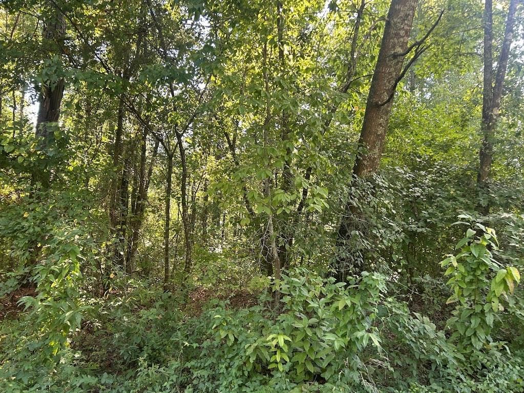 other under contract at 0 Springer Road, Whitesburg, GA 30185 — photo 9