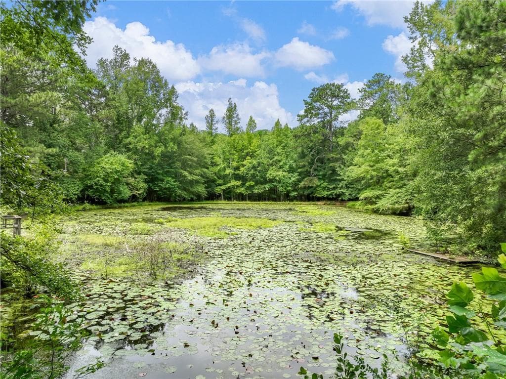 3 bedroom, 4 bathroom, 3,390 sq ft single family residence for sale at 1334 Criswell Road, Monroe, GA 30655 — photo 6