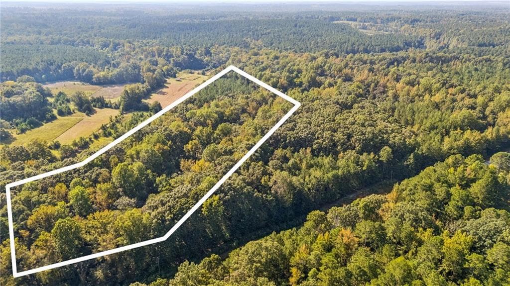 unimproved land for sale at 0 Elberton Road, Carlton, GA 30627 — photo 2