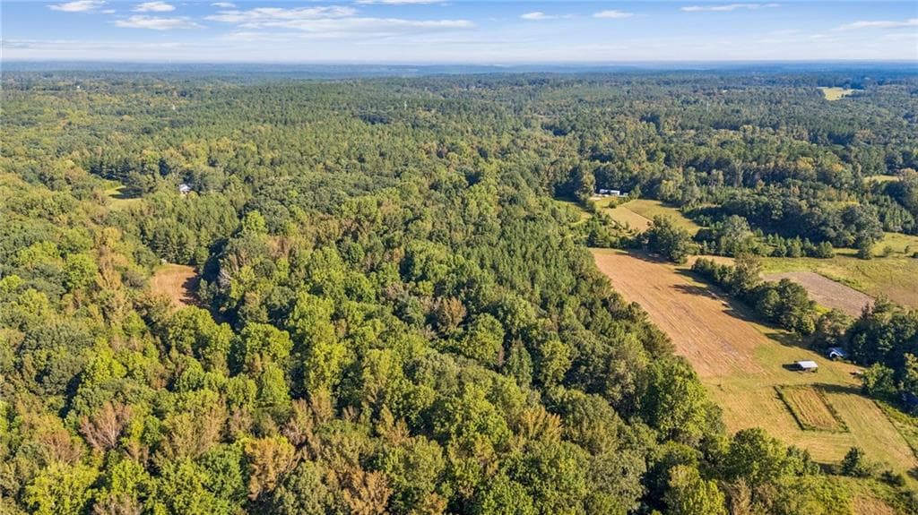 unimproved land for sale at 0 Elberton Road, Carlton, GA 30627 — photo 3