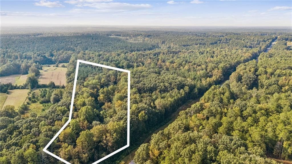 unimproved land for sale at 0 Elberton Road, Carlton, GA 30627 — photo 4