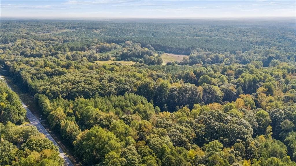 unimproved land for sale at 0 Elberton Road, Carlton, GA 30627 — photo 5
